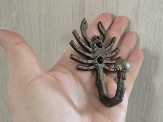 Scorpion-shaped wall hook. Iron Hook, Metal Hook, Kitchen Hook, Hallway Hooks, Robe Hook