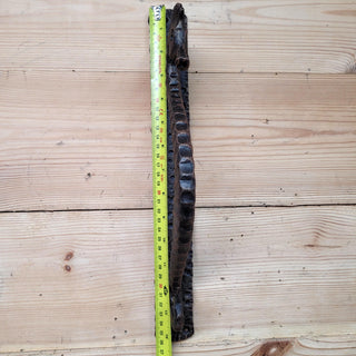 Hand Forged Seahorse Door Handle – Wrought Iron Pull Handle – Nautical Door Hardware – Rustic Gate Handle – Blacksmith Made
