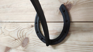 Handmade Horse Plant Hanger: Black Iron Horseshoe Bracket