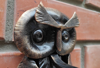 Forged Iron Owl Barn Door Handle: Farmhouse Animal Door Pull