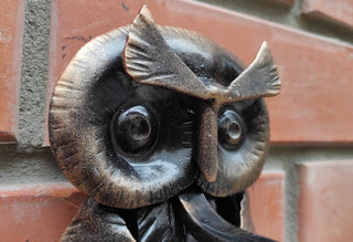 Owl Barn door handle, Animal door pulls, Farmhouse door decor, Bird door handles