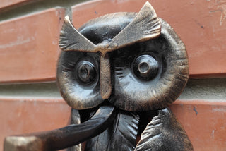 Forged Iron Owl Barn Door Handle: Farmhouse Animal Door Pull