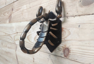 Handcrafted Scorpion Iron Door Handle: Unique Barn Door Pull