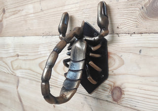 Scorpion Door Handle, Unique handcrafted door handle, Unusual door decor, Barn Door Handle, Iron Door Pull