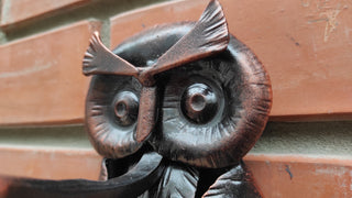 Forged Iron Owl Barn Door Handle: Farmhouse Animal Door Pull
