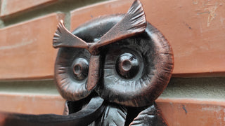 Owl Barn door handle, Animal door pulls, Farmhouse door decor, Bird door handles