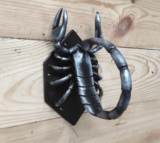 Scorpion Door Handle, Unique handcrafted door handle, Unusual door decor, Barn Door Handle, Iron Door Pull