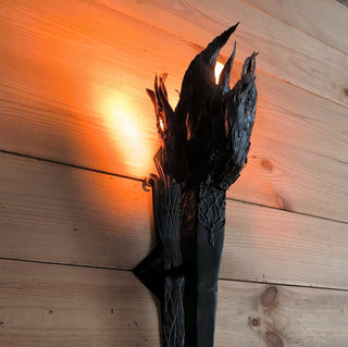 Torch wall light, wall sconce, accent light, decorative lighting, wall lighting