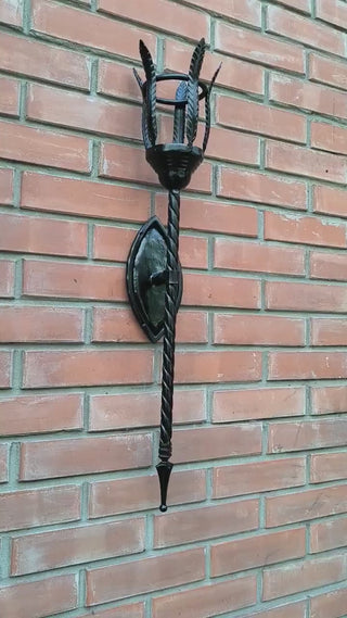 Torch wall light, wall sconce, accent light, decorative lighting, wall lighting