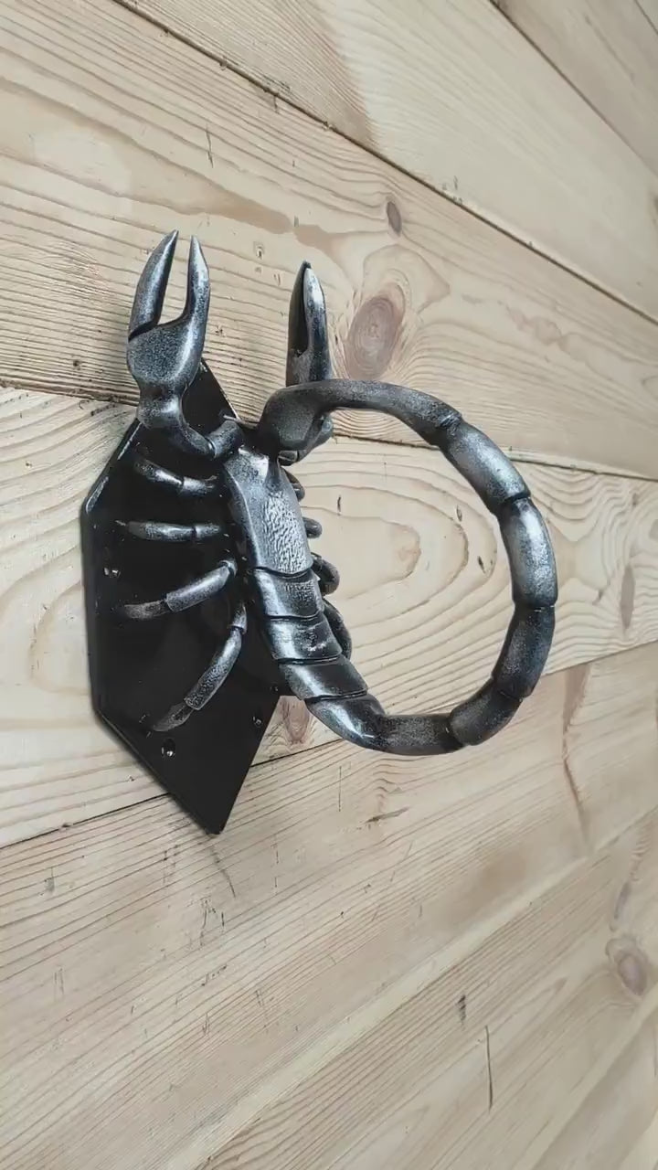 Scorpion Door Handle, Unique handcrafted door handle, Unusual door decor, Barn Door Handle, Iron Door Pull