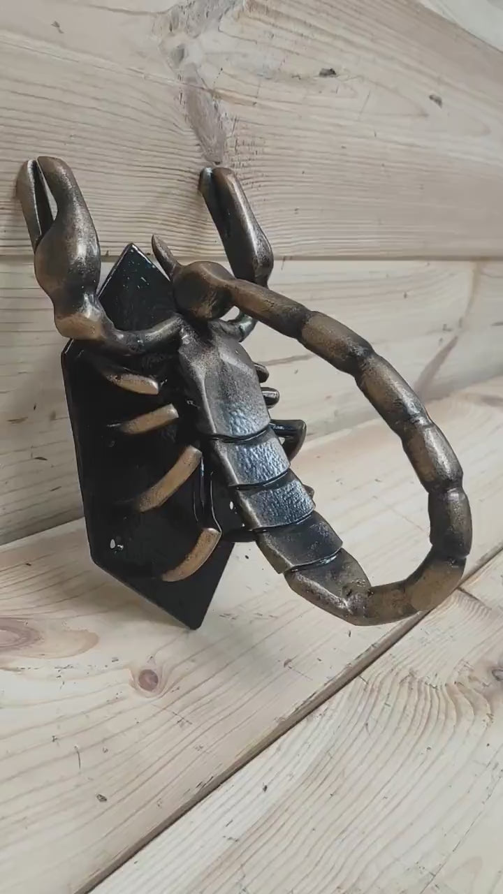 Scorpion Door Handle, Unique handcrafted door handle, Unusual door decor, Barn Door Handle, Iron Door Pull