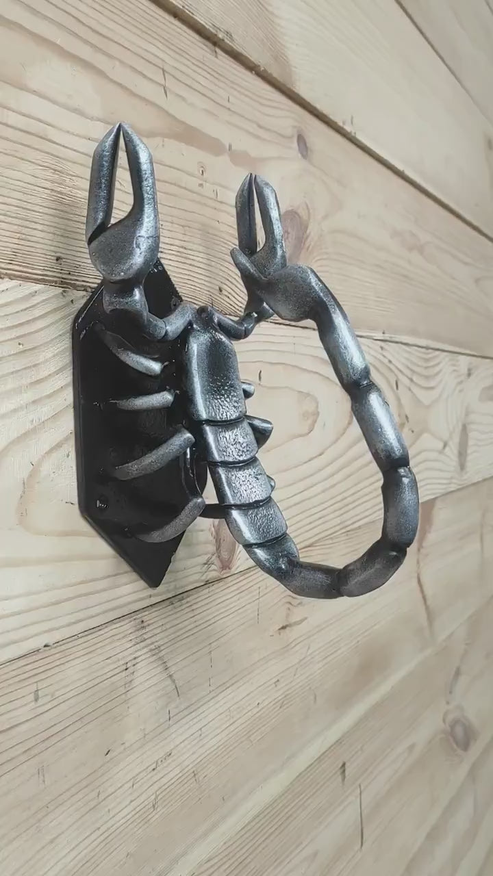 Scorpion Door Handle, Unique handcrafted door handle, Unusual door decor, Barn Door Handle, Iron Door Pull